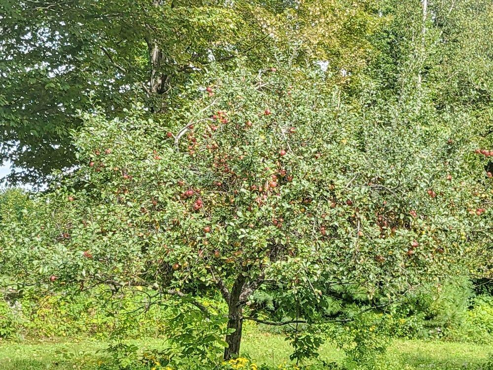 194 Marwick Road Farmington ME 04938