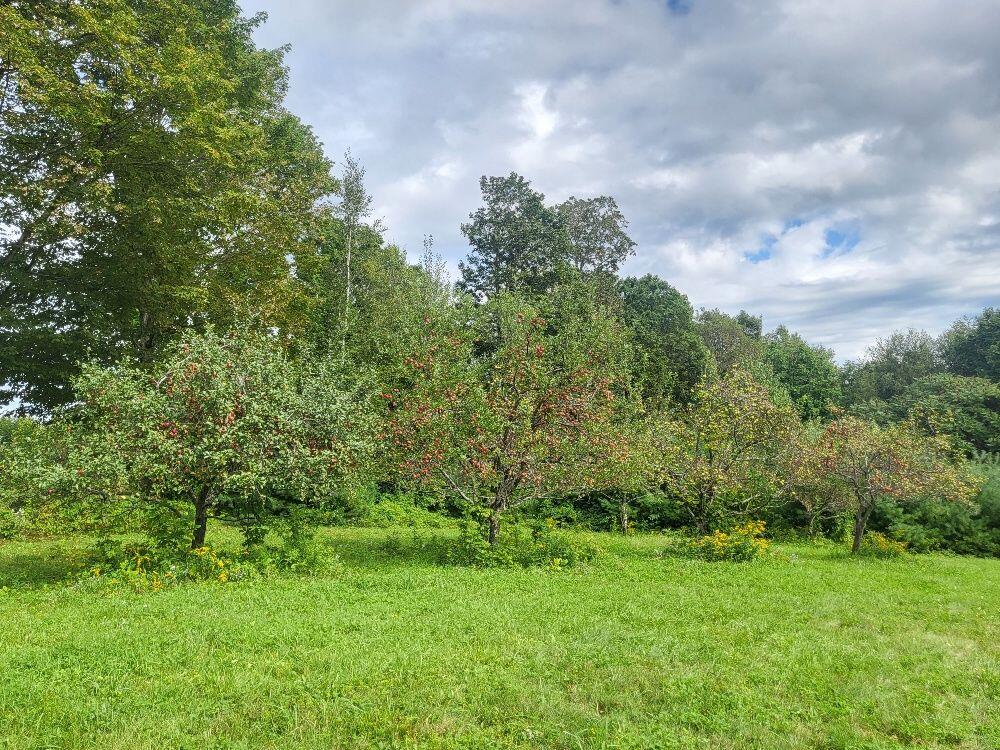 194 Marwick Road Farmington ME 04938