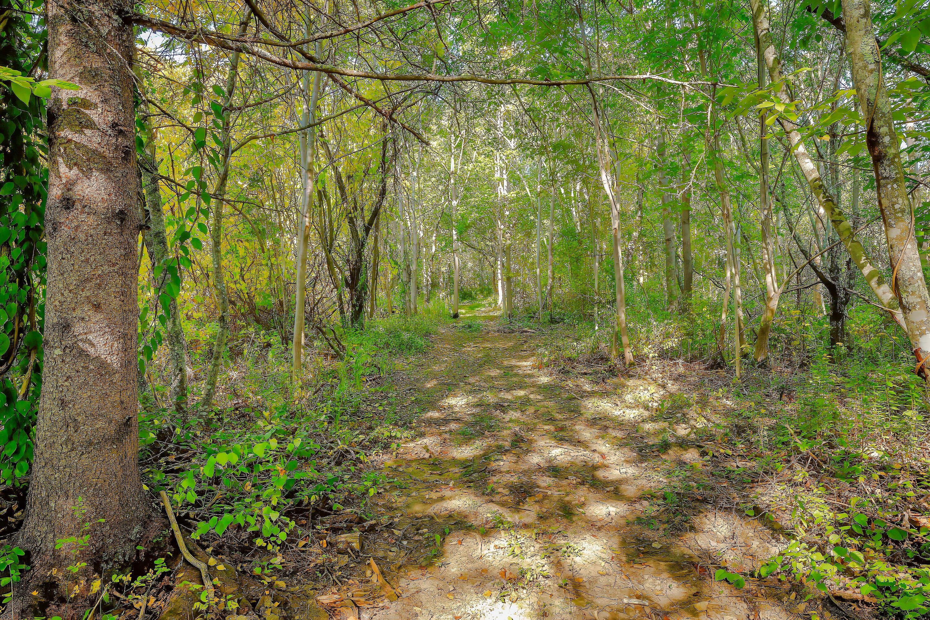 87 Carter Point Road Sedgwick ME 04676