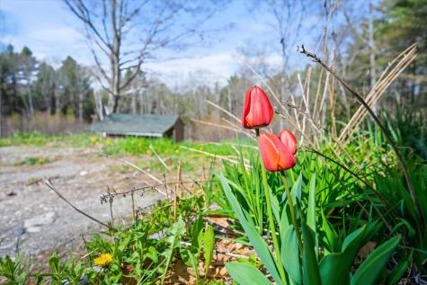 1492 River Road Bucksport ME 04416