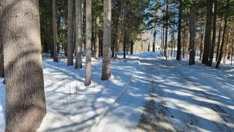 42 Dixfield Road Weld ME 04285