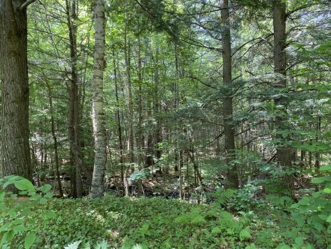 42 Dixfield Road Weld ME 04285