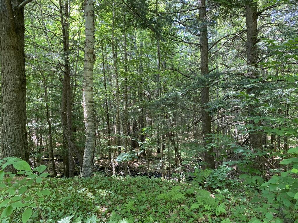 42 Dixfield Road Weld ME 04285