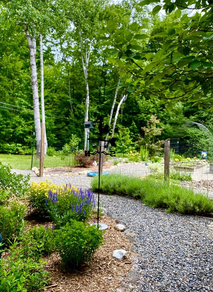 42 Dixfield Road Weld ME 04285