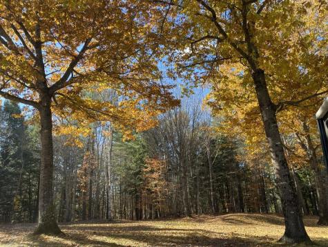 42 Dixfield Road Weld ME 04285