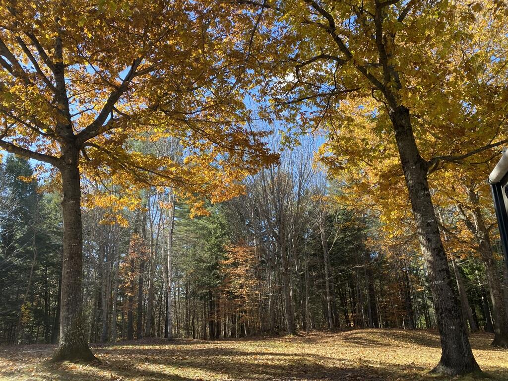 42 Dixfield Road Weld ME 04285