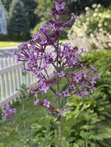 164 Croswell Road Farmington ME 04938