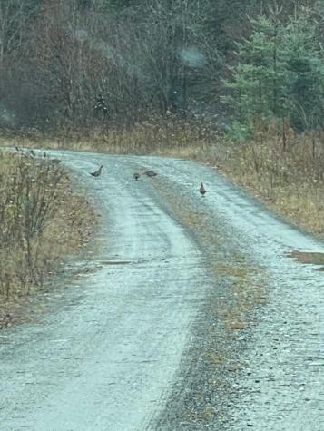 PROJECT576 Benedicta Twp Benedicta Twp ME 04733