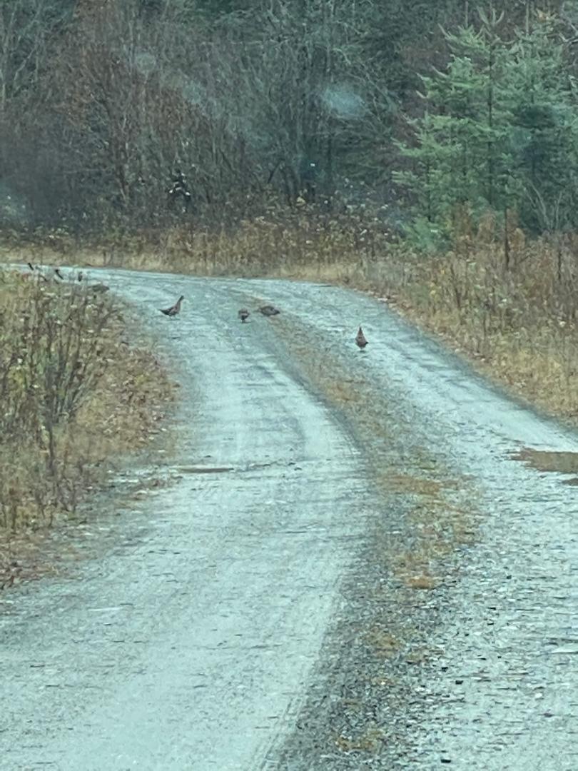 PROJECT576 Benedicta Twp Benedicta Twp ME 04733