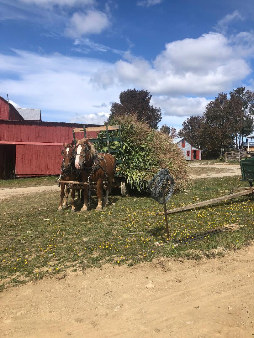 PROJECT576 Benedicta Twp Benedicta Twp ME 04733