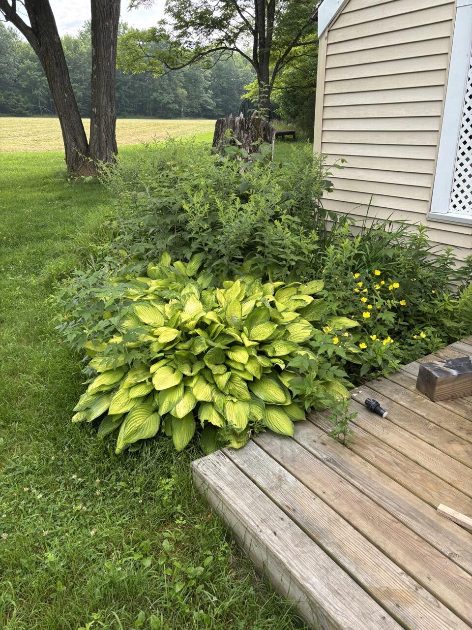 465 Carthage Road Carthage ME 04224