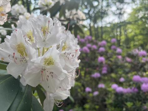 104 Verrill Road Pownal ME 04069