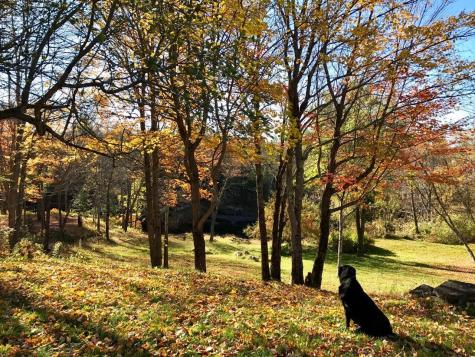 465 Carthage Road Carthage ME 04224