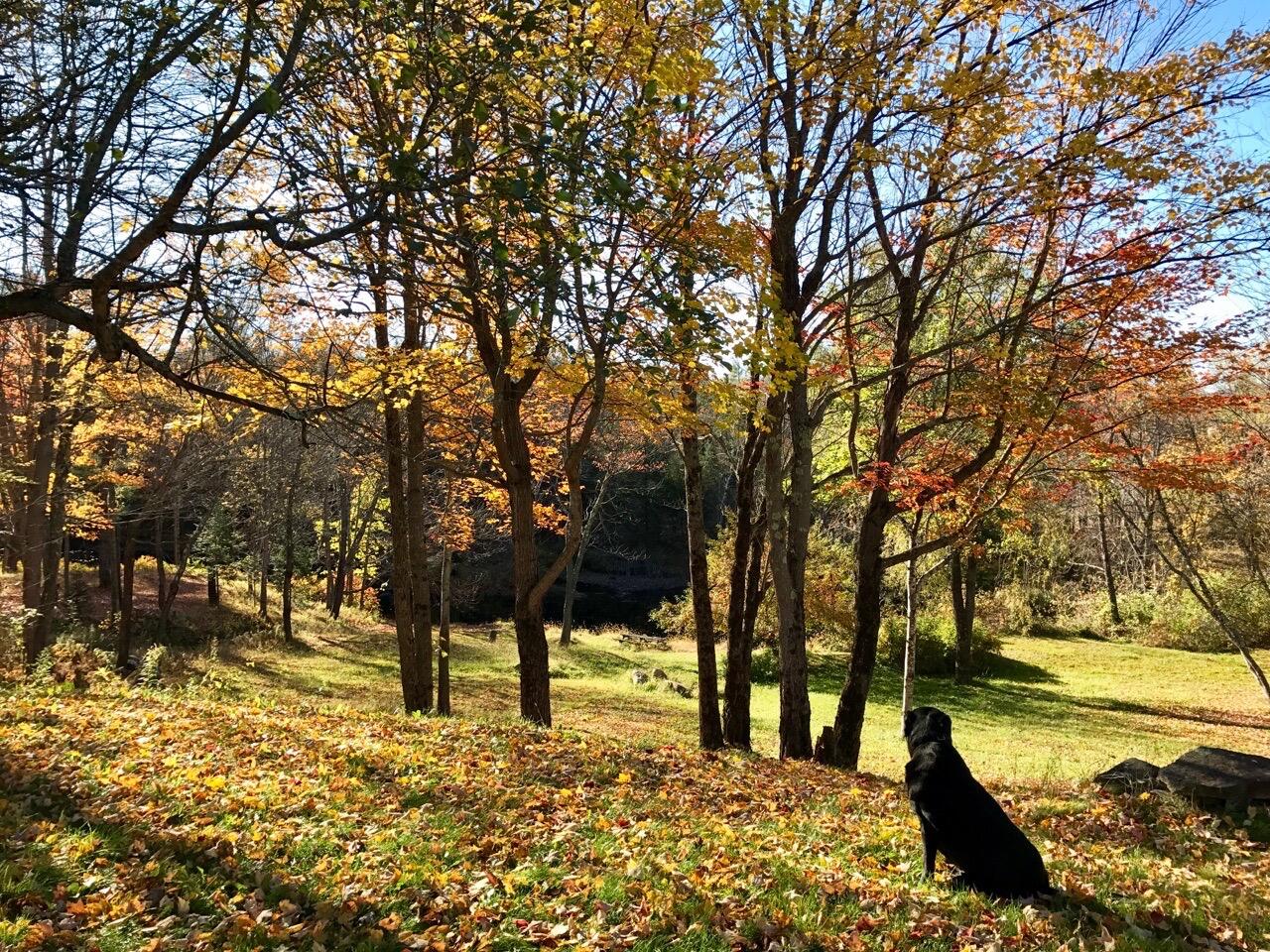 465 Carthage Road Carthage ME 04224