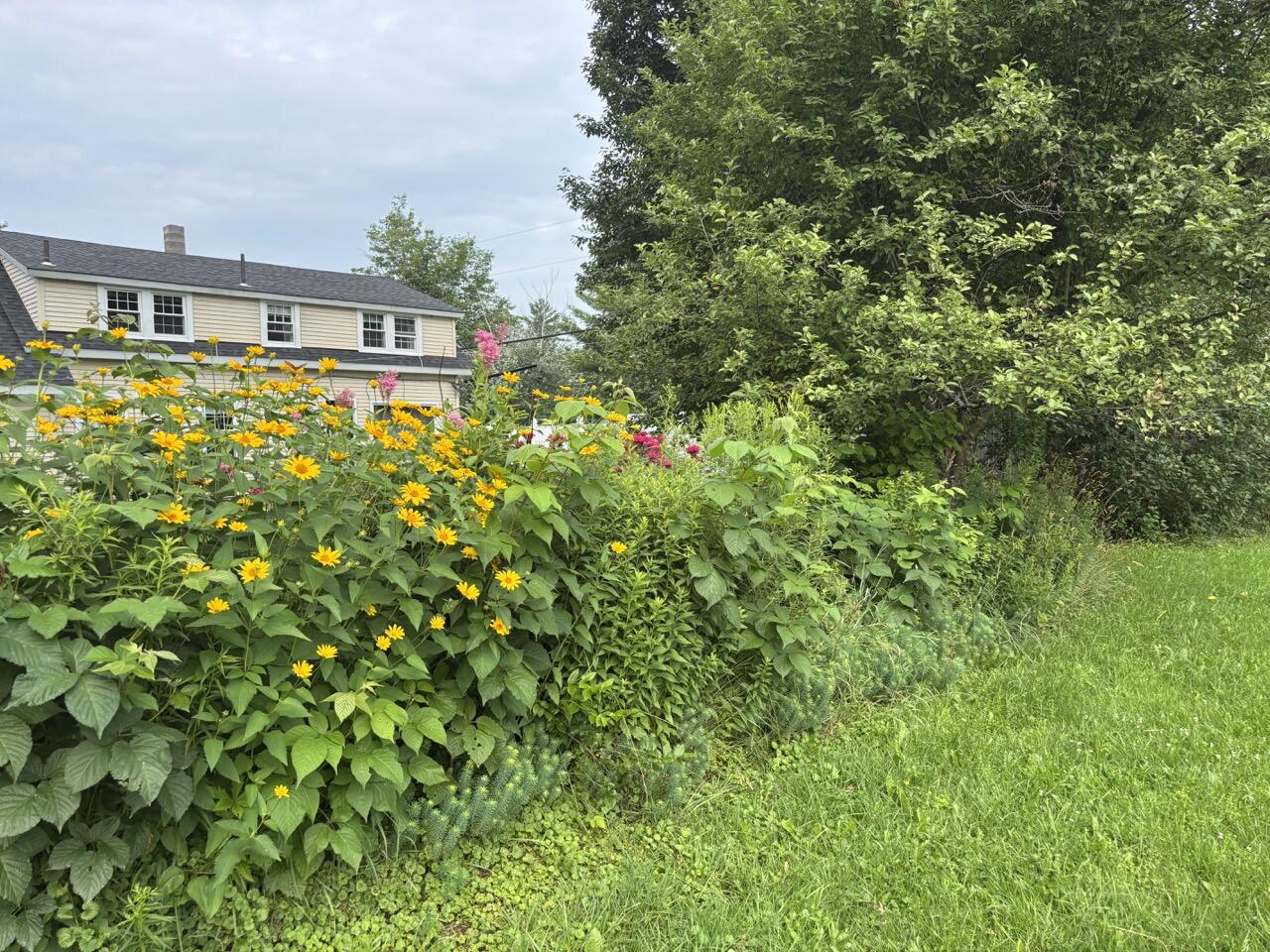 465 Carthage Road Carthage ME 04224