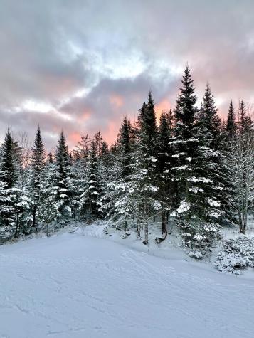 170 Partridge Cove Road Lamoine ME 04605