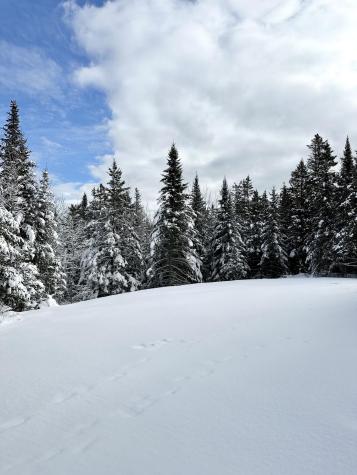 170 Partridge Cove Road Lamoine ME 04605