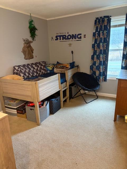 43 Blackswoods Road Franklin ME 04634