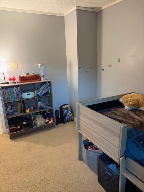 43 Blackswoods Road Franklin ME 04634