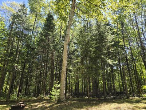 MAP8 Lot24 South Smith Road Bradford ME 04410