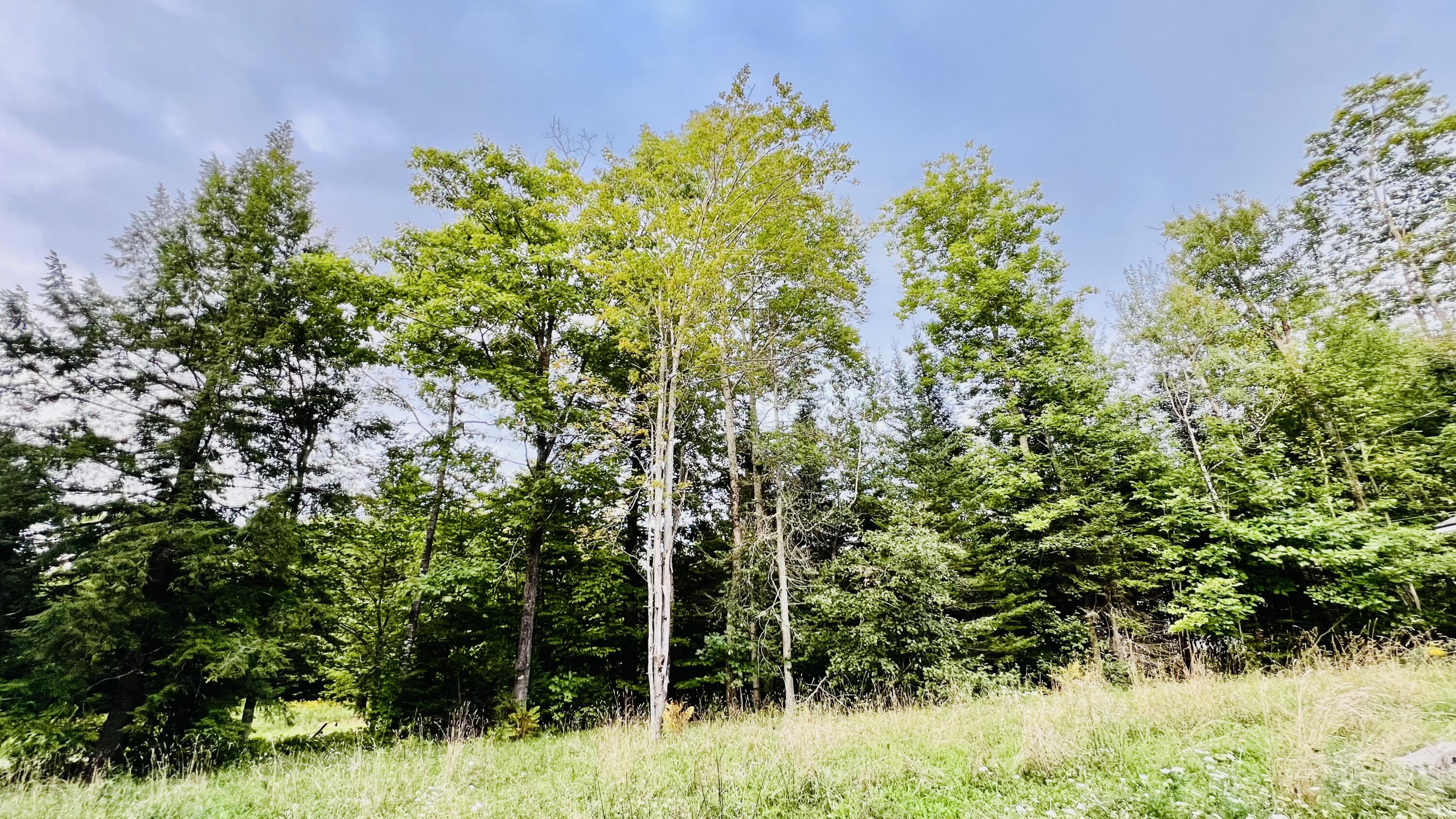 45 Branstrom Road Vassalboro ME 04989