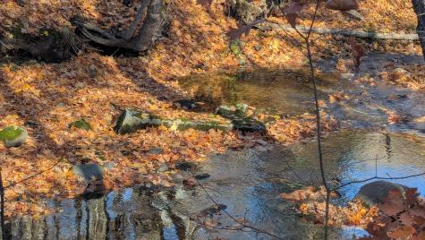 18 Crawford Road Pittsfield ME 04967