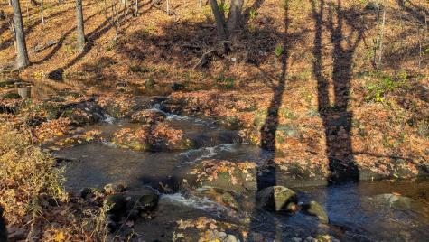 18 Crawford Road Pittsfield ME 04967