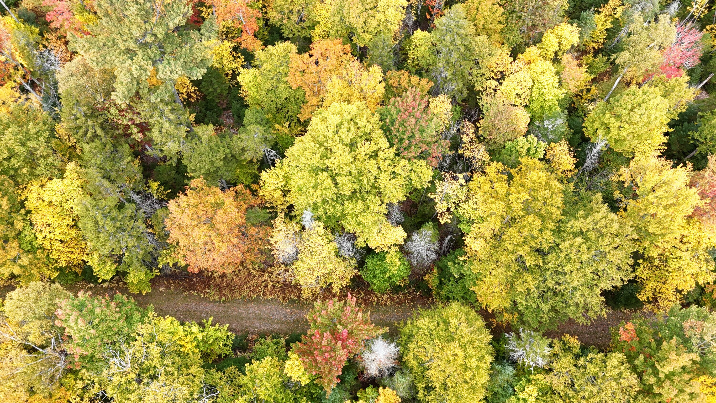 88 Mountain View Drive Beaver Cove ME 04441