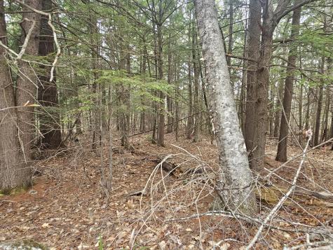 23 Macdonald Road Waterford ME 04088