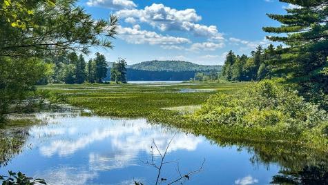 341 Narrow Gauge Trail Hiram ME 04041