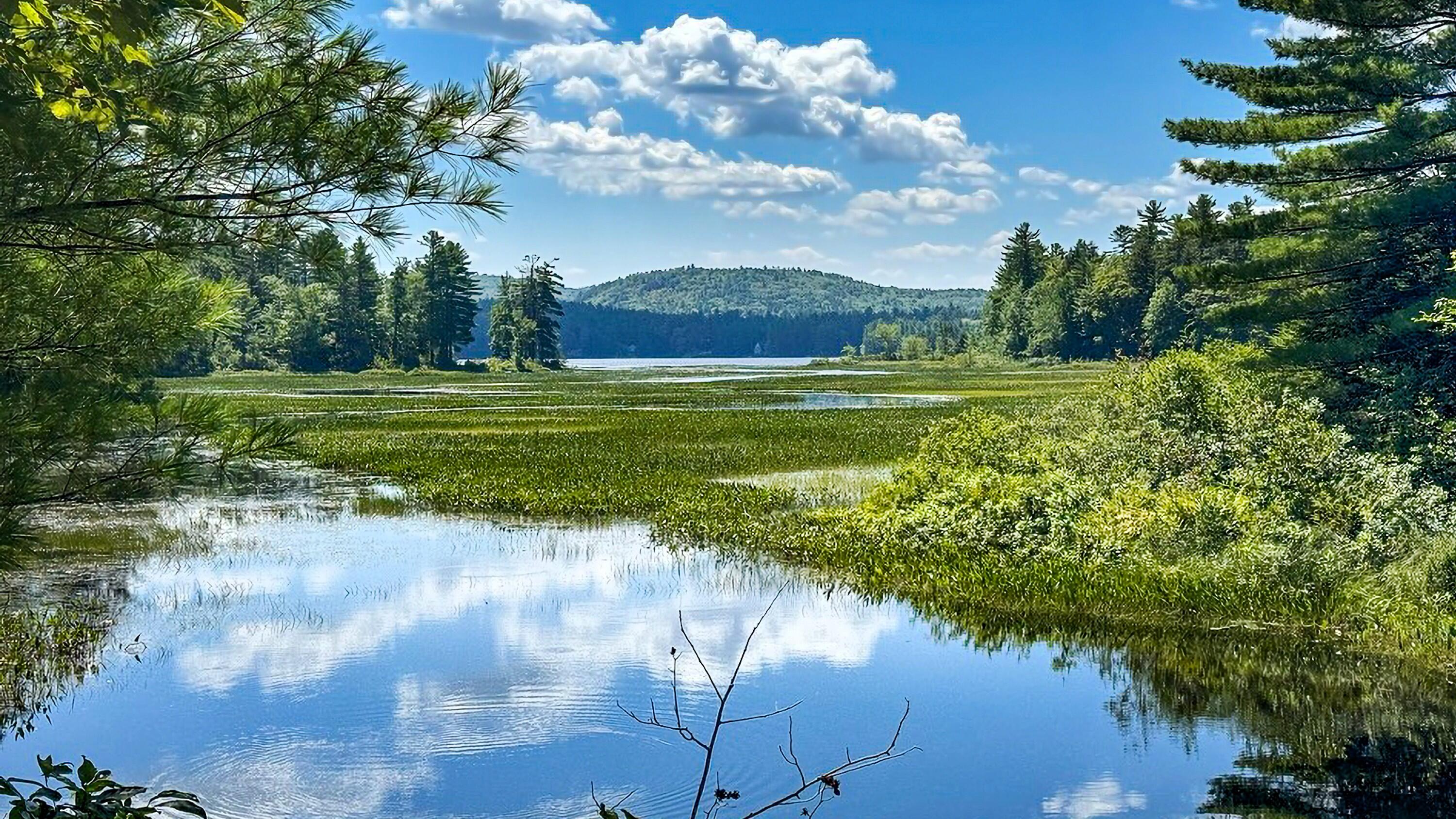 341 Narrow Gauge Trail Hiram ME 04041