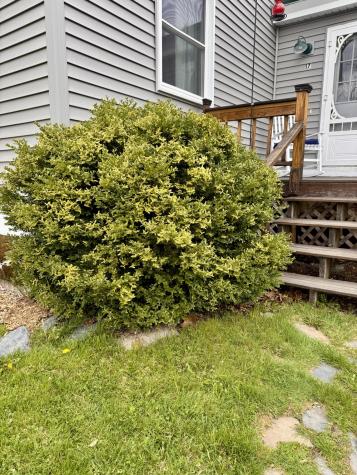 17 Old Pond Road Dexter ME 04930