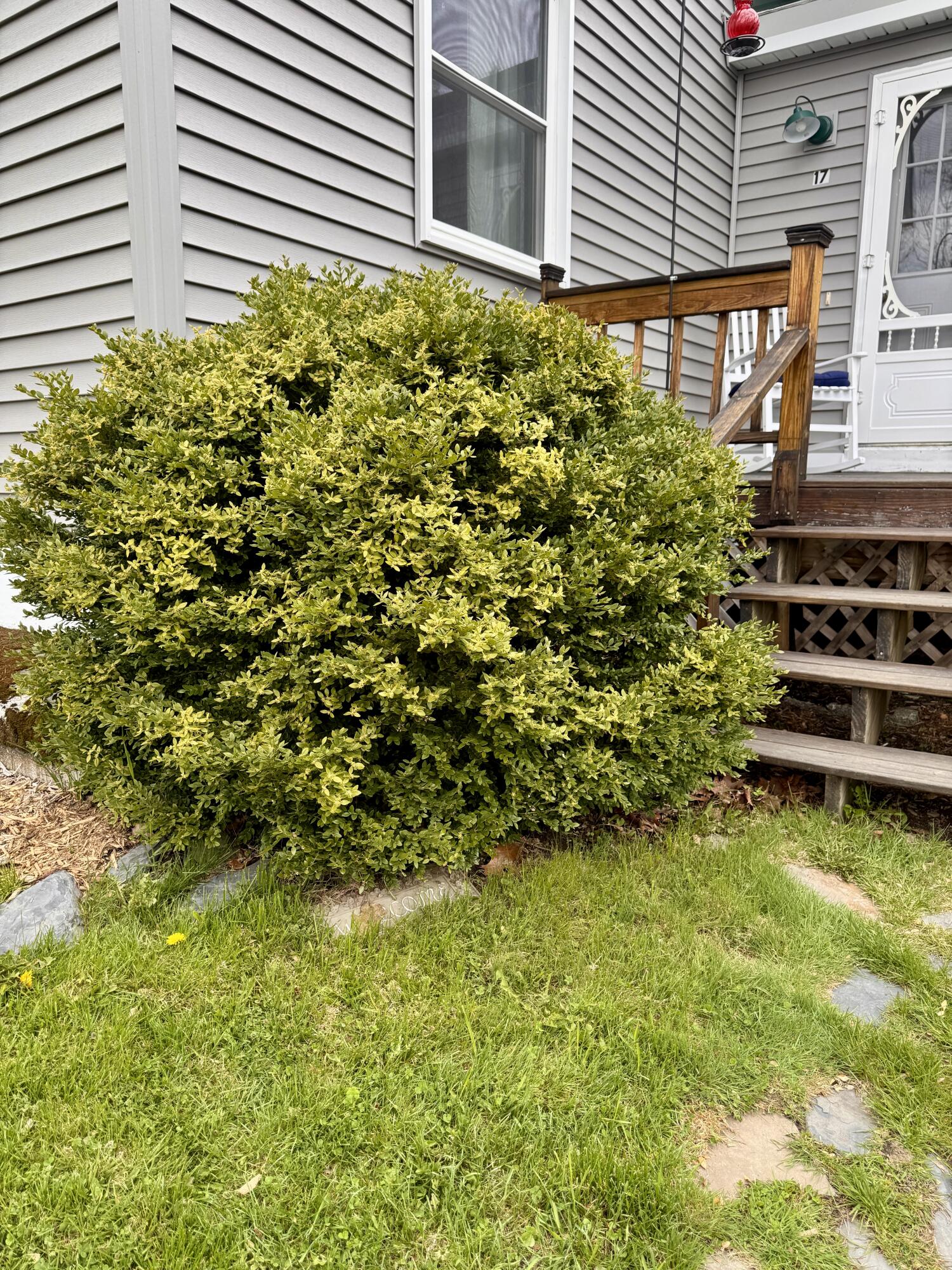 17 Old Pond Road Dexter ME 04930