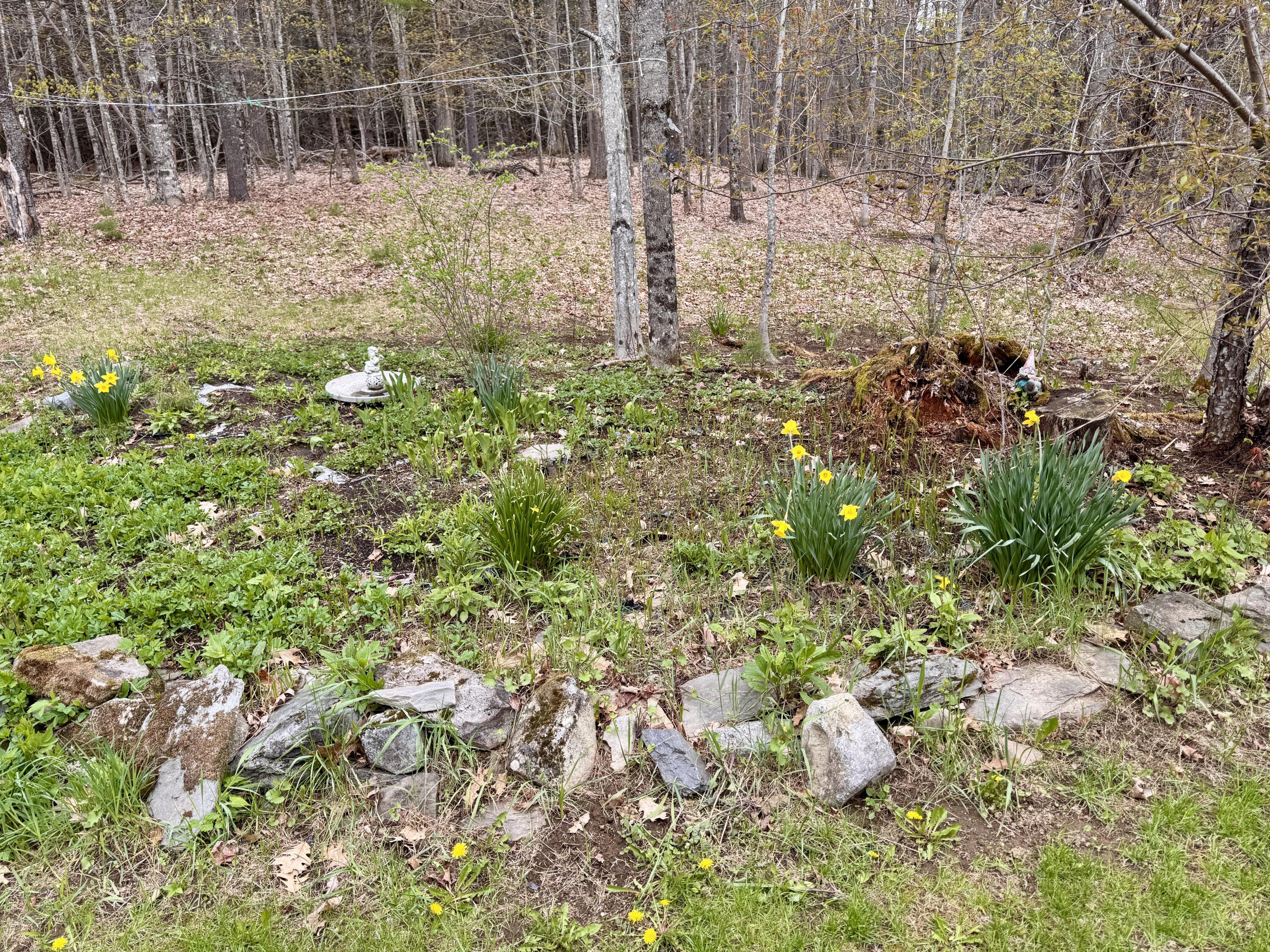 17 Old Pond Road Dexter ME 04930