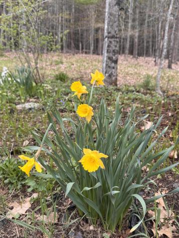 17 Old Pond Road Dexter ME 04930