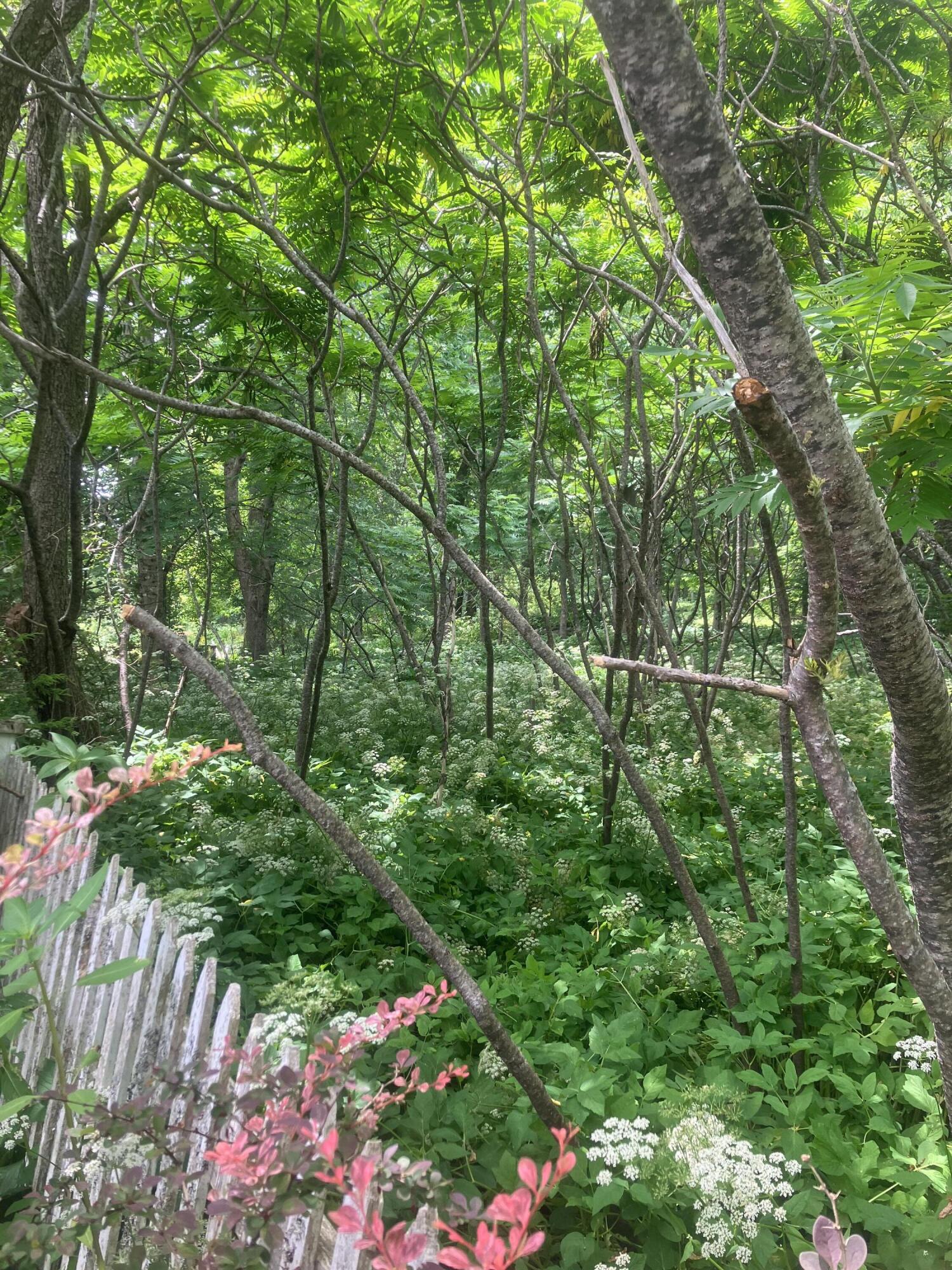 69 W Meadow Road Rockland ME 04841