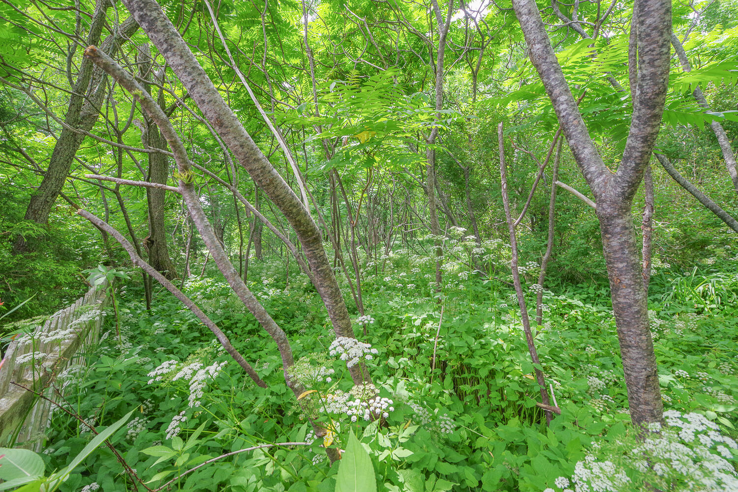 69 W Meadow Road Rockland ME 04841