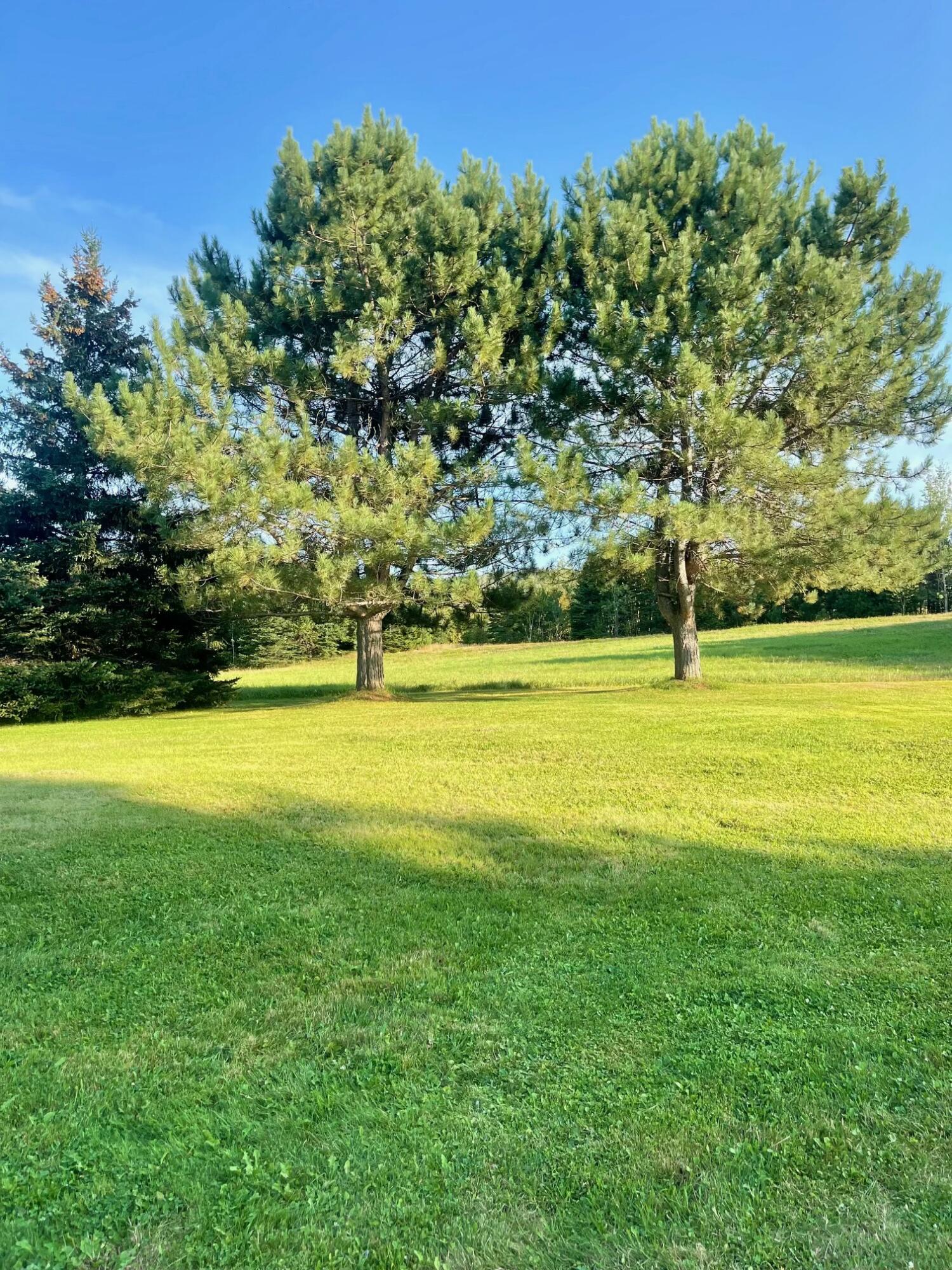 535 Frenchville Road Fort Kent ME 04743