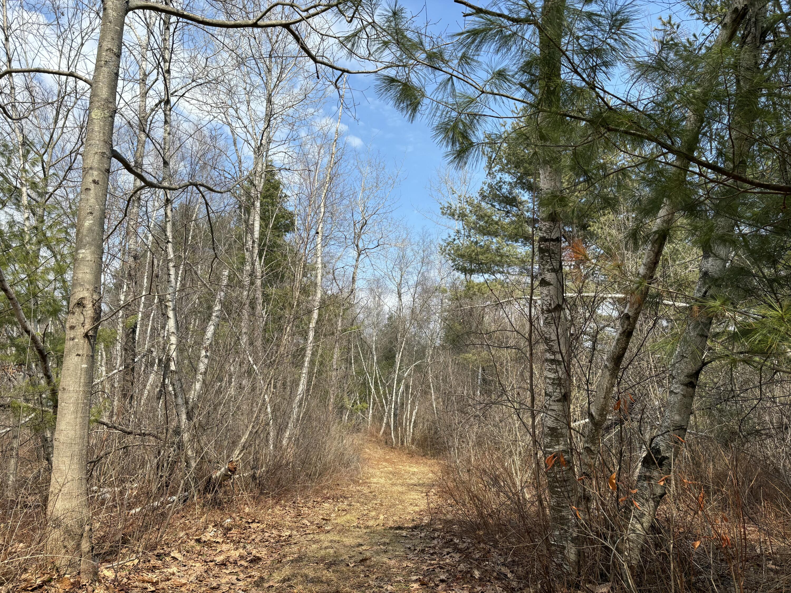 82 Tree Farm Road Brunswick ME 04011