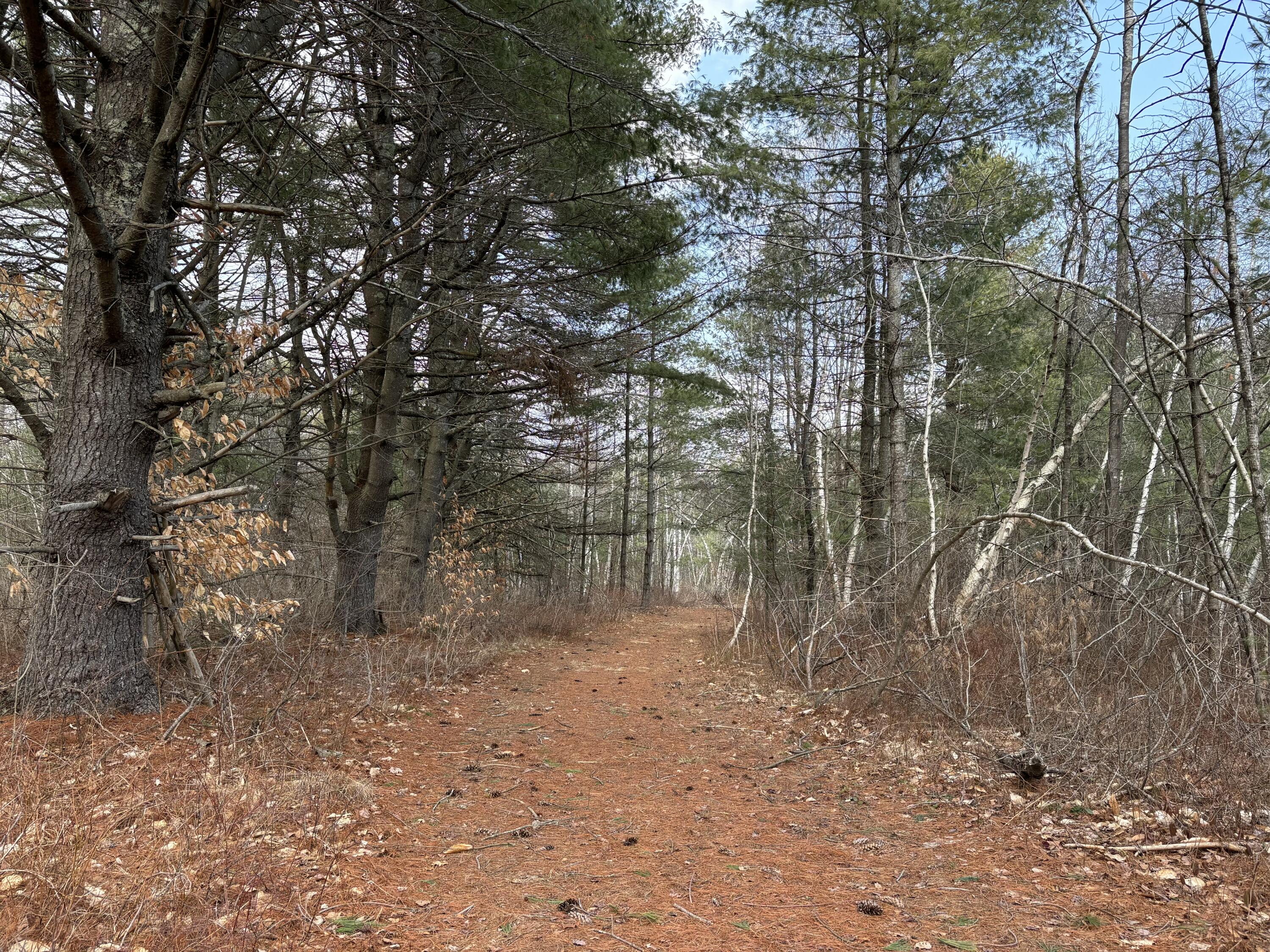 82 Tree Farm Road Brunswick ME 04011