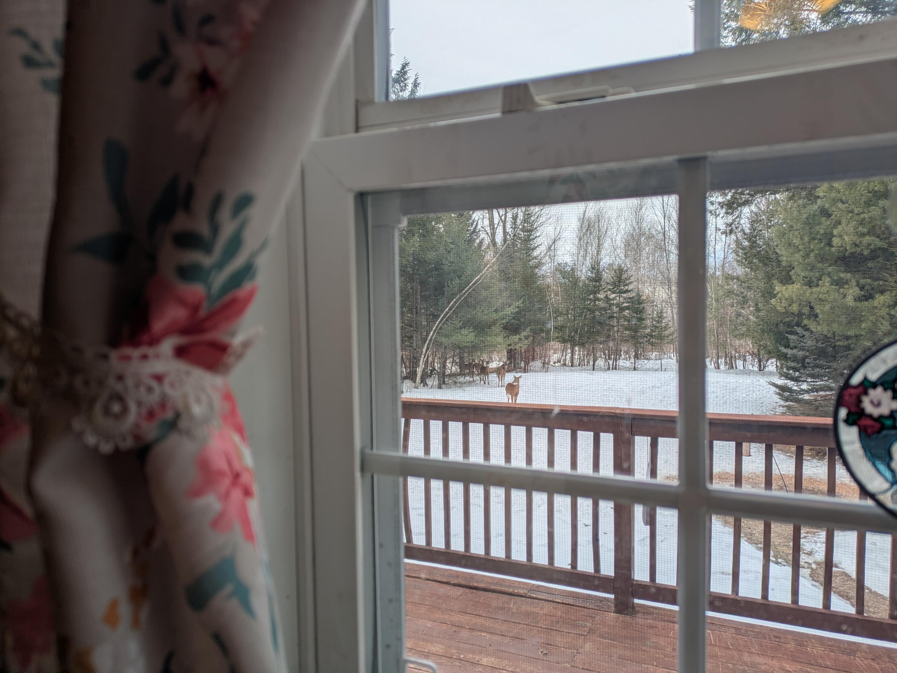 1 Nishell Drive Paris ME 04281