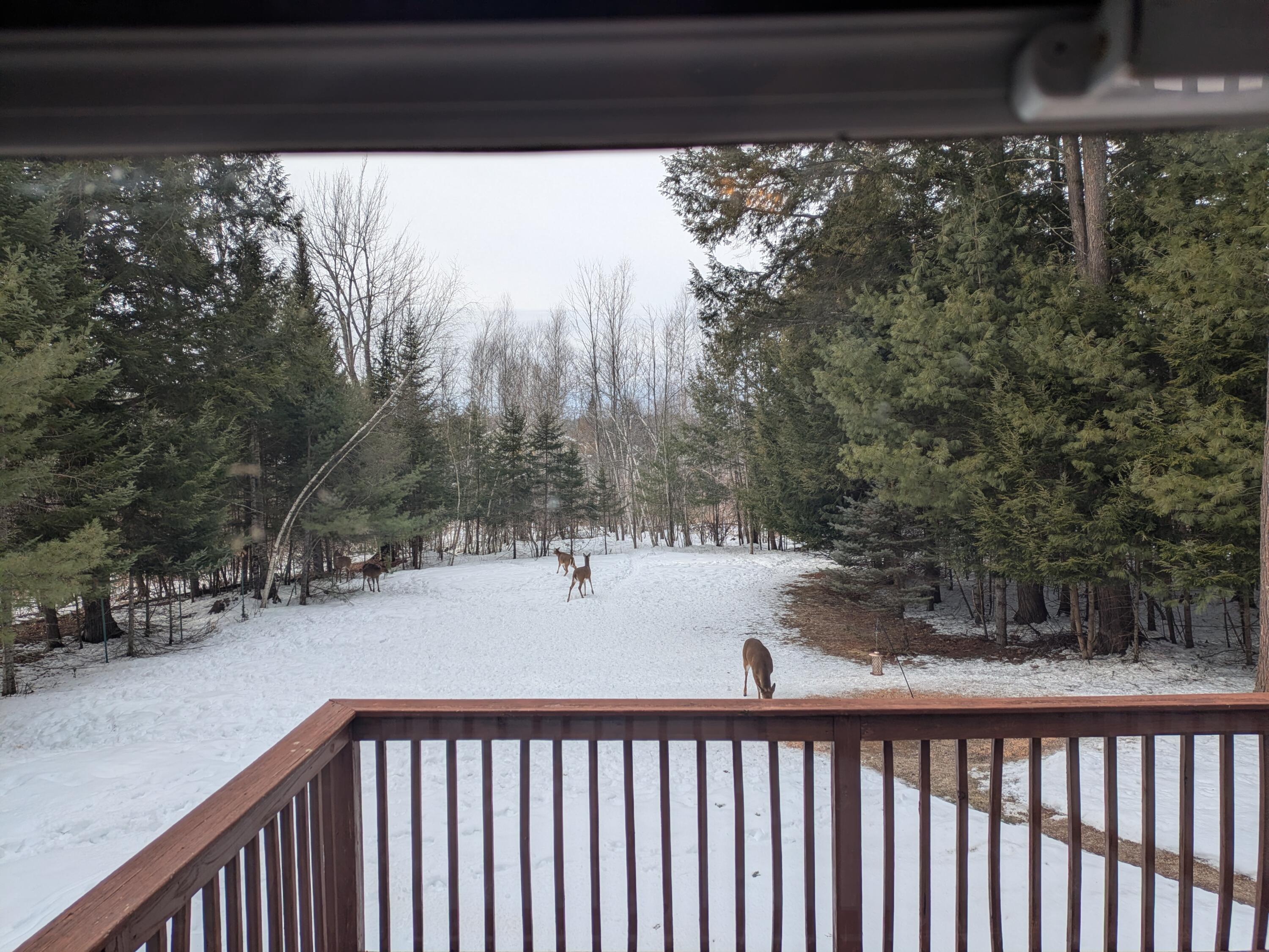 1 Nishell Drive Paris ME 04281