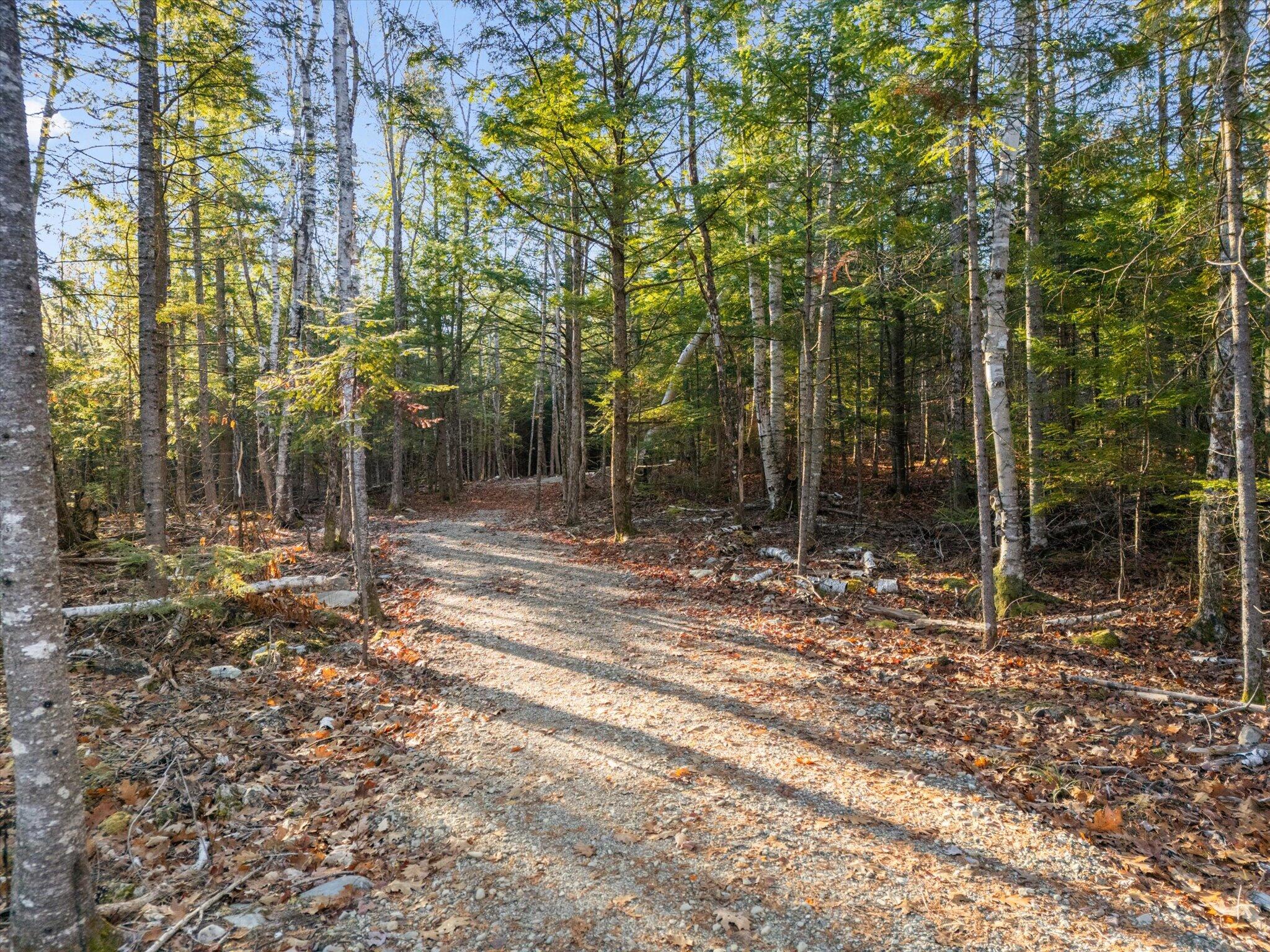 93 Forestry Lane Eddington ME 04428