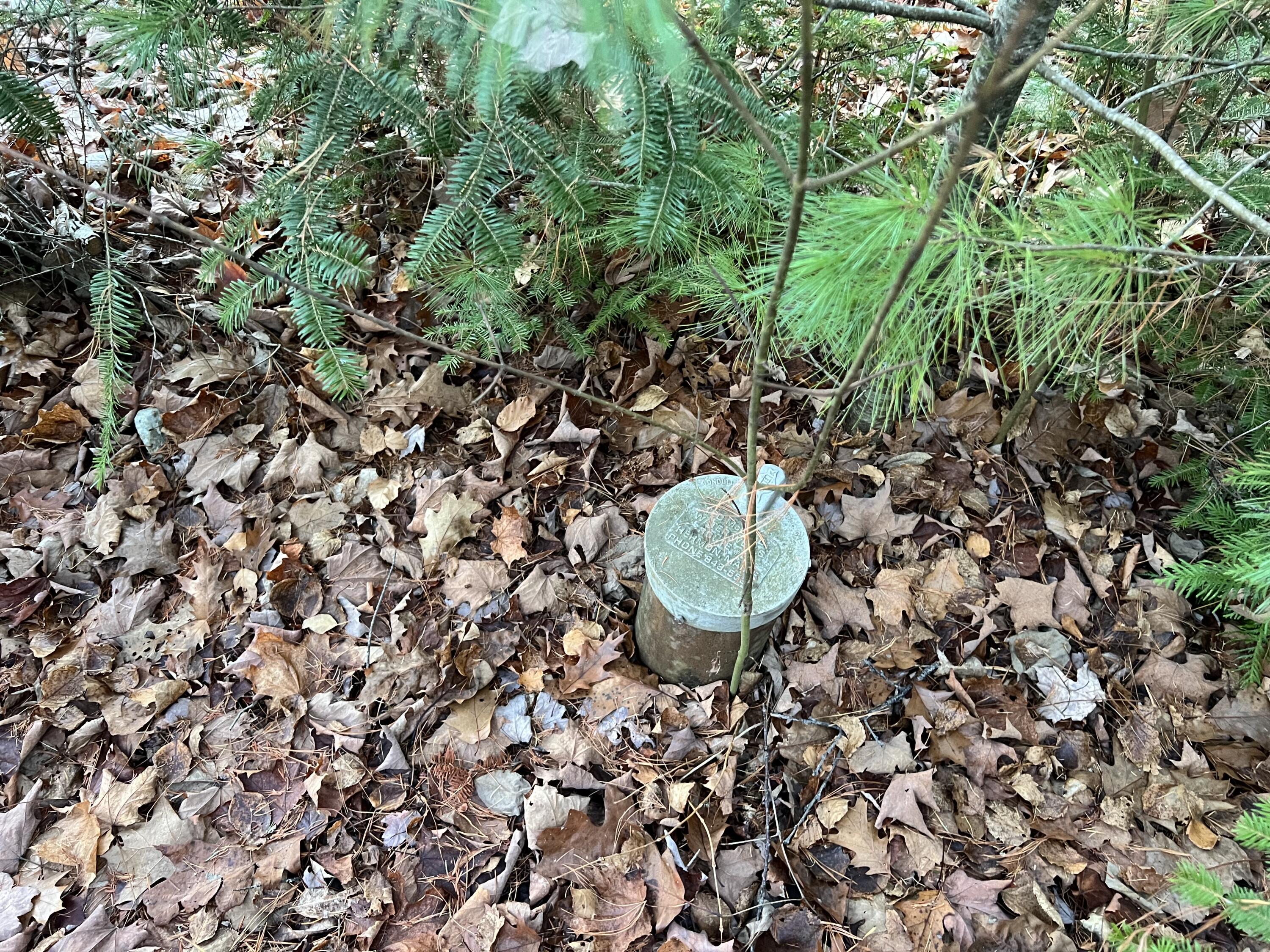 93 Forestry Lane Eddington ME 04428