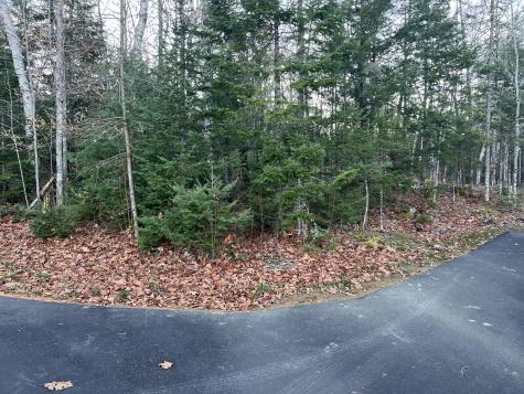 93 Forestry Lane Eddington ME 04428