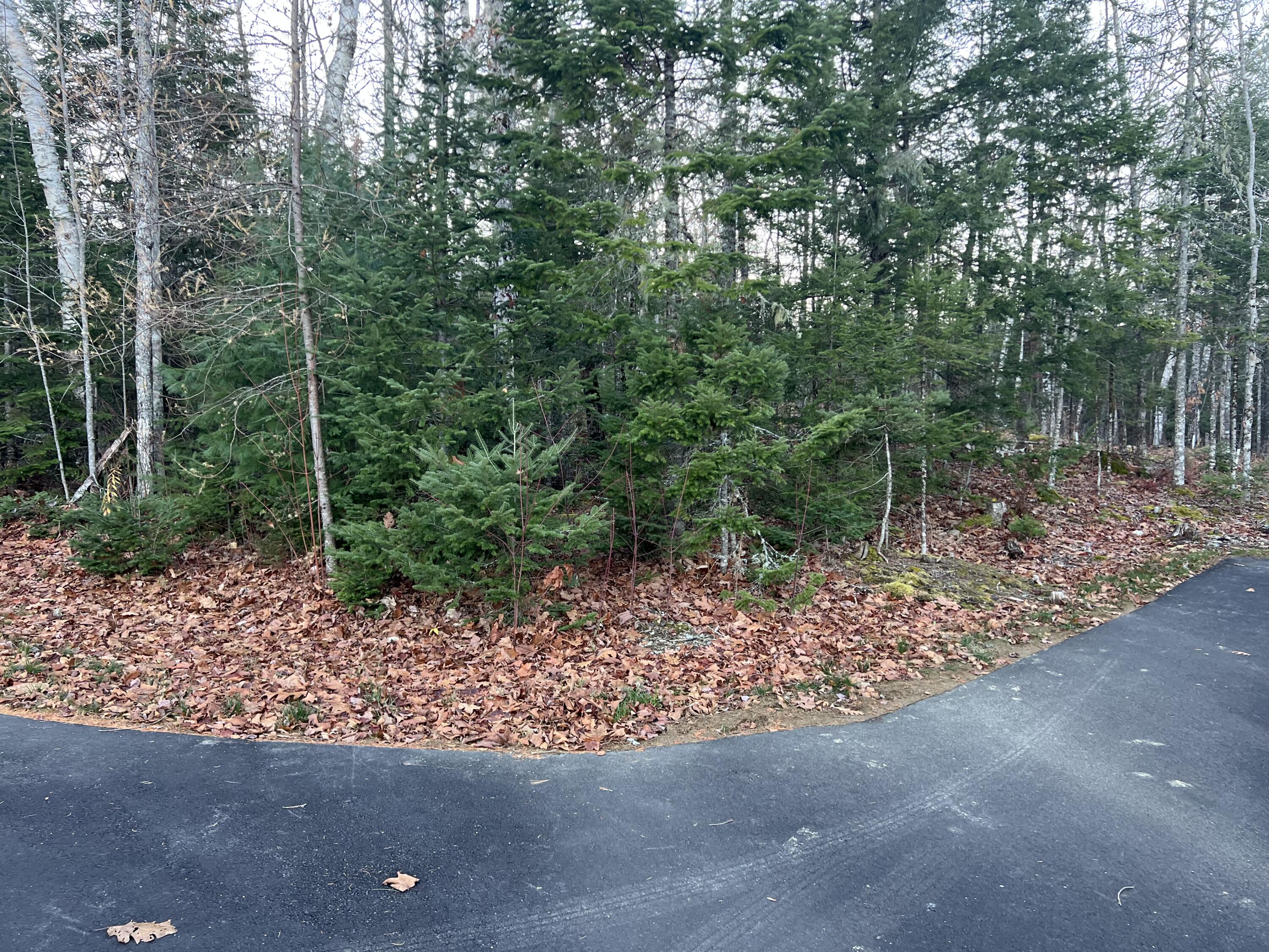 93 Forestry Lane Eddington ME 04428