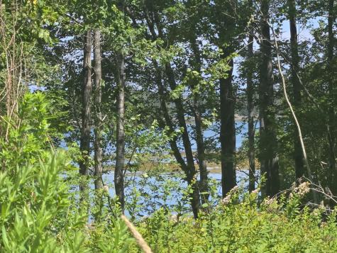 498 N Lubec Road Lubec ME 04652