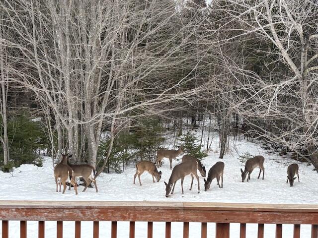 27 Oak Point Road Harrington ME 04643