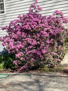 27 Oak Point Road Harrington ME 04643