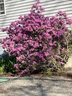 27 Oak Point Road Harrington ME 04643